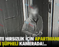 SİİRT’TE HIRSIZLIK İÇİN APARTMANLARA GİREN ŞÜPHELİ KAMERADA!..