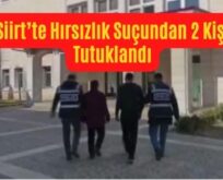 Siirt’te Hırsızlık Suçundan 2 Kişi Tutuklandı