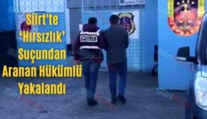 Siirt’te ‘Hırsızlık’ Suçundan Aranan Hükümlü Yakalandı