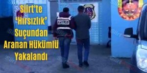 Siirt’te ‘Hırsızlık’ Suçundan Aranan Hükümlü Yakalandı