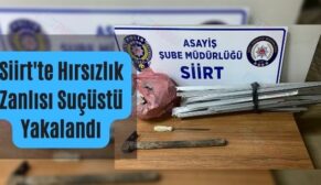 Siirt’te Hırsızlık Zanlısı Suçüstü Yakalandı