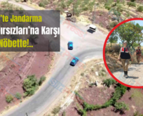 Siirt’te Jandarma ‘Fıstık Hırsızları’na Karşı Nöbette!..