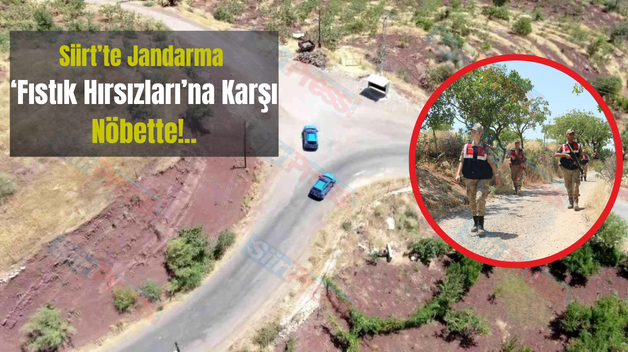 Siirt’te Jandarma ‘Fıstık Hırsızları’na Karşı Nöbette!..