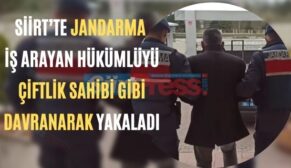 Siirt’te Jandarma İş Arayan Hükümlüyü Çiftlik Sahibi Gibi Davranarak Yakaladı