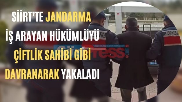 Siirt’te Jandarma İş Arayan Hükümlüyü Çiftlik Sahibi Gibi Davranarak Yakaladı