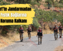 Siirt’te Jandarmadan Fıstık Bağlarına Koruma Kalkanı