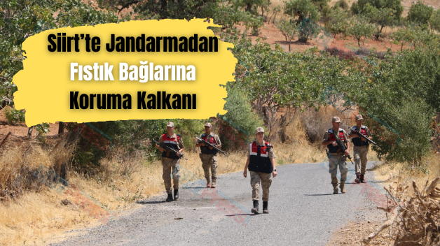 Siirt’te Jandarmadan Fıstık Bağlarına Koruma Kalkanı