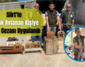 Siirt’te Kaçak Avlanan Kişiye Para Cezası Uygulandı