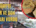 Siirt’te Kar Ve Don Pazarı Vurdu