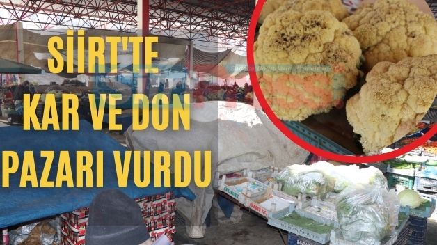 Siirt’te Kar Ve Don Pazarı Vurdu