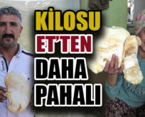 BU MANTARIN KİLOSU ET’TEN DAHA PAHALI