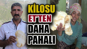 Siirt’in Elmadalı köyünde eriyen karların ardından otların arasında ortaya çıkan