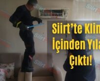 Siirt’te Klima İçinden Yılan Çıktı!