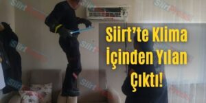 Siirt’te Klima İçinden Yılan Çıktı!