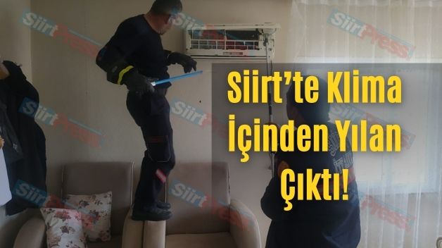 Siirt’te Klima İçinden Yılan Çıktı!