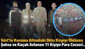 Siirt’te Koruma Altındaki Oklu Kirpiyi Öldüren Şahsa ve Kaçak Avlanan 11 Kişiye Para Cezası!..