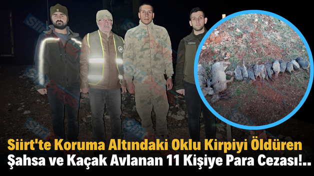 Siirt’te Koruma Altındaki Oklu Kirpiyi Öldüren Şahsa ve Kaçak Avlanan 11 Kişiye Para Cezası!..