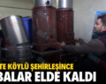 Siirt’te Köylü Şehirleşince Sobalar Elde Kaldı