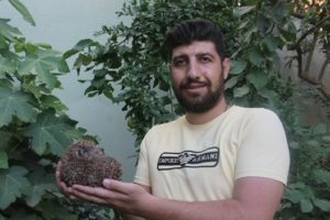 Siirt’in Eruh ilçesi Bölüklü köyünde kirpi avlayan kaçak avcılar, köylüleri