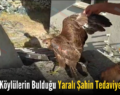 Siirt’te Köylülerin Bulduğu Yaralı Şahin Tedaviye Alındı