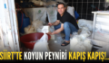 SİİRT’TE KOYUN PEYNİRİ KAPIŞ KAPIŞ!..