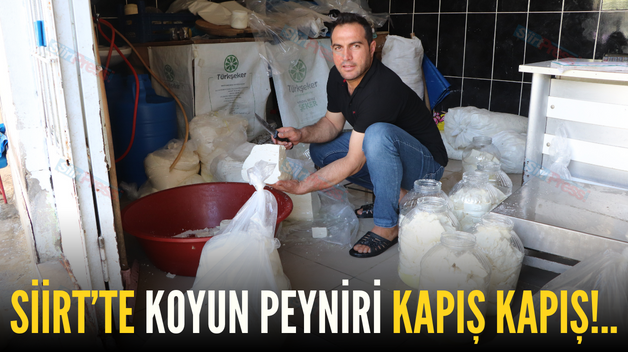 SİİRT’TE KOYUN PEYNİRİ KAPIŞ KAPIŞ!..