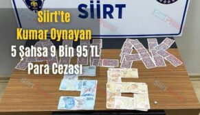 Siirt’te Kumar Oynayan 5 Şahsa 9 Bin 95 TL Para Cezası