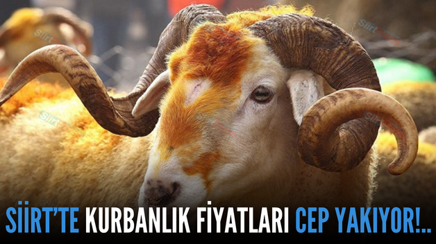 SİİRT’TE KURBANLIK FİYATLARI CEP YAKIYOR!..