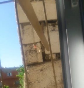 Siirt’in Ulus Mahallesinde görülen yılanlar vatandaşları korkuttu. Kavurucu sıcakların başlaması