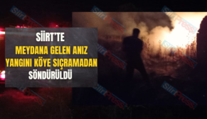 Siirt’te Meydana Gelen Anız Yangını Köye Sıçramadan Söndürüldü