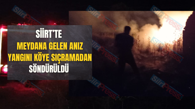 Siirt’te Meydana Gelen Anız Yangını Köye Sıçramadan Söndürüldü