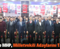 Siirt’te MHP, Milletvekili Adaylarını Tanıttı