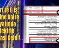 Siirt’te O İş Yerine Daire Fiyatında Elektrik Faturası Geldi!..