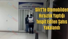 Siirt’te Otomobilden Hırsızlık Yaptığı Tespit Edilen Şahıs Yakalandı