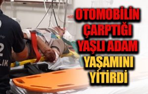Siirt’te yolun karşısına geçmeye çalıştığı anda otomobilin çarptığı Faraç Dede