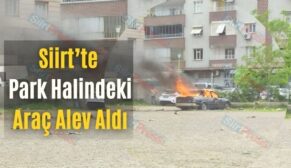 Siirt’te Park Halindeki Araç Alev Aldı