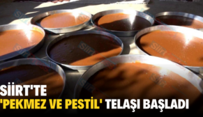 Siirt’te Pekmez Ve Pestil Telaşı Başladı