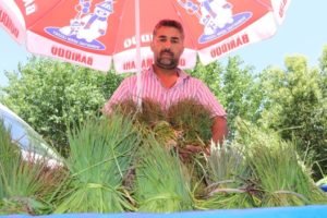 Siirt yöresine ait peynir yapımında kullanılan ve halk dilinde “Sirik”