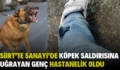 SİİRT’TE SANAYİ’DE KÖPEK SALDIRISINA UĞRAYAN GENÇ HASTANELİK OLDU