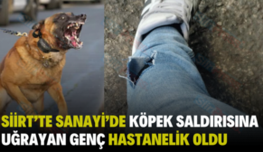 SİİRT’TE SANAYİ’DE KÖPEK SALDIRISINA UĞRAYAN GENÇ HASTANELİK OLDU