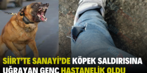 SİİRT’TE SANAYİ’DE KÖPEK SALDIRISINA UĞRAYAN GENÇ HASTANELİK OLDU