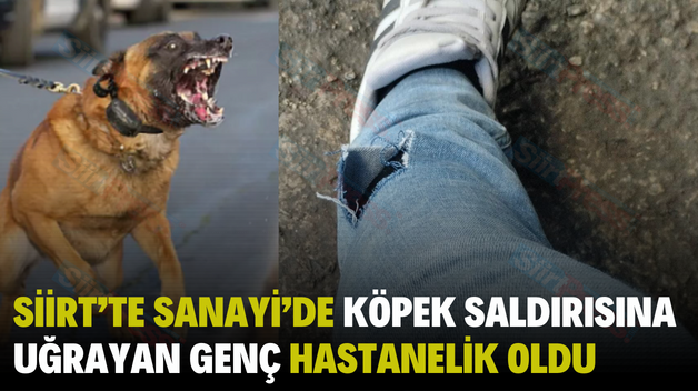 SİİRT’TE SANAYİ’DE KÖPEK SALDIRISINA UĞRAYAN GENÇ HASTANELİK OLDU