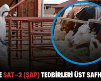 SİİRT’TE SAT-2 (ŞAP) TEDBİRLERİ ÜST SAFHADA!..