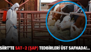 SİİRT’TE SAT-2 (ŞAP) TEDBİRLERİ ÜST SAFHADA!..