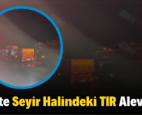 Siirt’te Seyir Halindeki TIR Alev Aldı