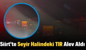 Siirt’te Seyir Halindeki TIR Alev Aldı