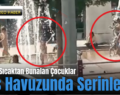 Siirt’te Sıcaktan Bunalan Çocuklar Süs Havuzunda Serinledi