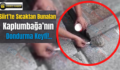 Siirt’te Sıcaktan Bunalan Kaplumbağa’nın Dondurma Keyfi!..