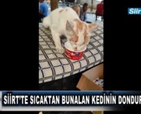 SİİRT’TE SICAKTAN BUNALAN KEDİNİN DONDURMA KEYFİ