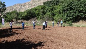 SİİRT’TE SUSAMLARI TOPRAKLA BULUŞTURAN ÇİFTÇİNİN YÜZÜ GÜLDÜ